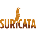 suricata suricata